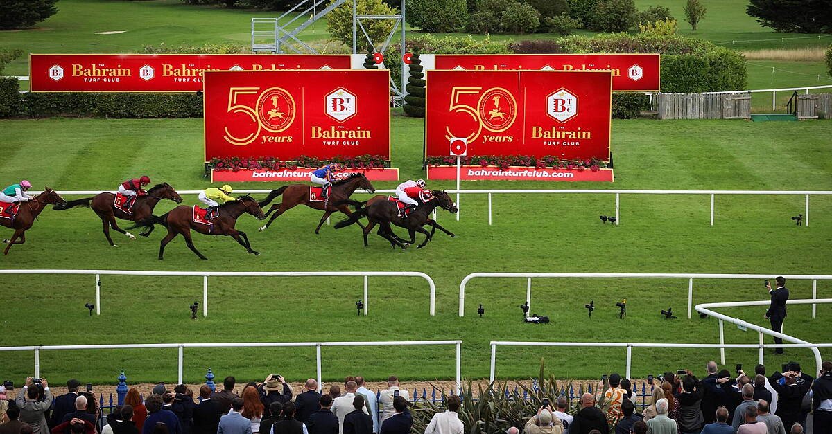 Hotazhell Heats Up Leopardstown: 50-1 Outsider Stuns in Irish Champion Stakes Thriller