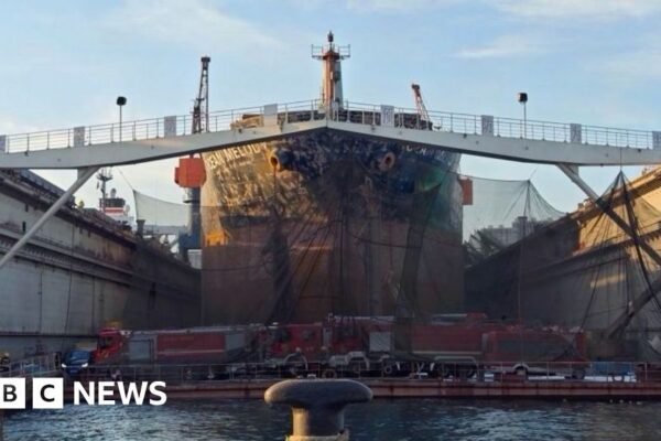 Inferno at Sea: Cargo Ship Disaster Leaves Trail of Casualties in Qingdao