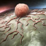 Inside the Chaos: How Turbulent Microenvironments Ignite Cancer’s Spread