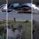 Joyride to Ruin: Stolen Car Ends in Chaotic Teen Crack-Up