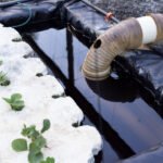 Jubail’s Blue Revolution: Saudi Ministry Unveils High-Tech Aquaponics Investment Frontier