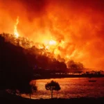 The world is certain to overshoot a critical climate threshold, U.N. warns
