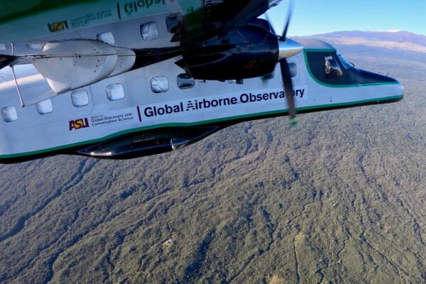Laser-Scanned Secrets: High-Tech Mapping Unveils the Amazon’s Hidden Avian Highways