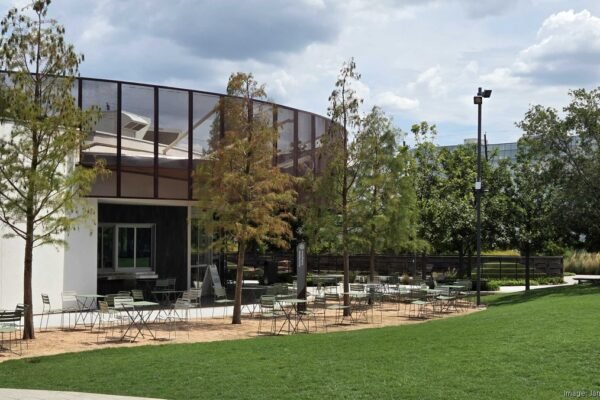 Last Sip at the Sunday Press: Camden Park Cafe Shuts Doors Amid Slumping Foot Traffic