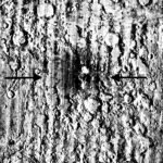 Lunar Scar: NASA Captures Stunning Images of Record-Breaking Asteroid Impact