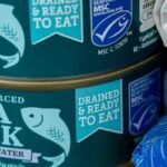 Mexico Reels In Higher Catch Limit for Pacific Bluefin Tuna