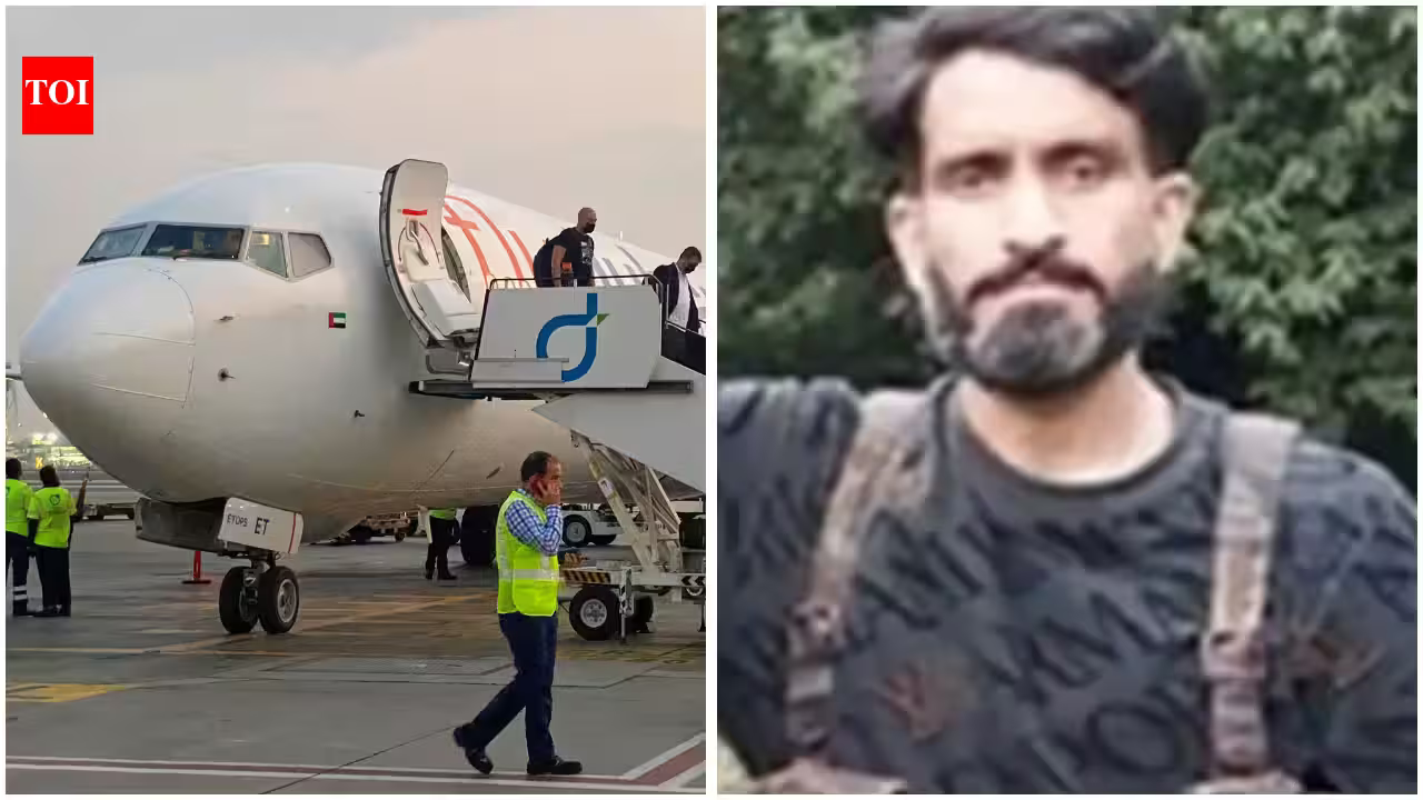 Mid-Air Stabbing and Terror Takedown: A Chaotic News Wrap-Up