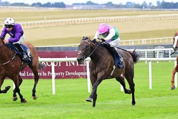 Monogram’s Momentum: Why Joseph O’Brien’s Dark Horse Is Poised to Upset the Odds