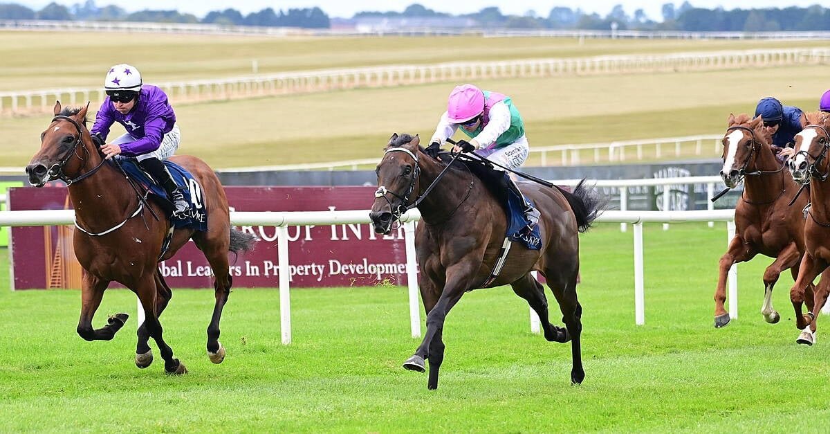 Monogram’s Momentum: Why Joseph O’Brien’s Dark Horse Is Poised to Upset the Odds