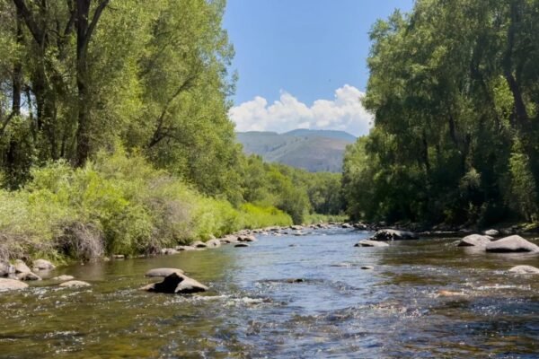 Mountain Tots Finds New Luxury Foothold with River Conservation Commitment