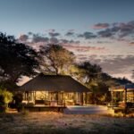 Nature Reclaimed: Phinda Vlei Lodge Returns to the Wild
