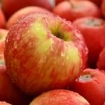 Orchard Defiance: Mexican Apple Growers Weather Import Storm to Reach New Heights