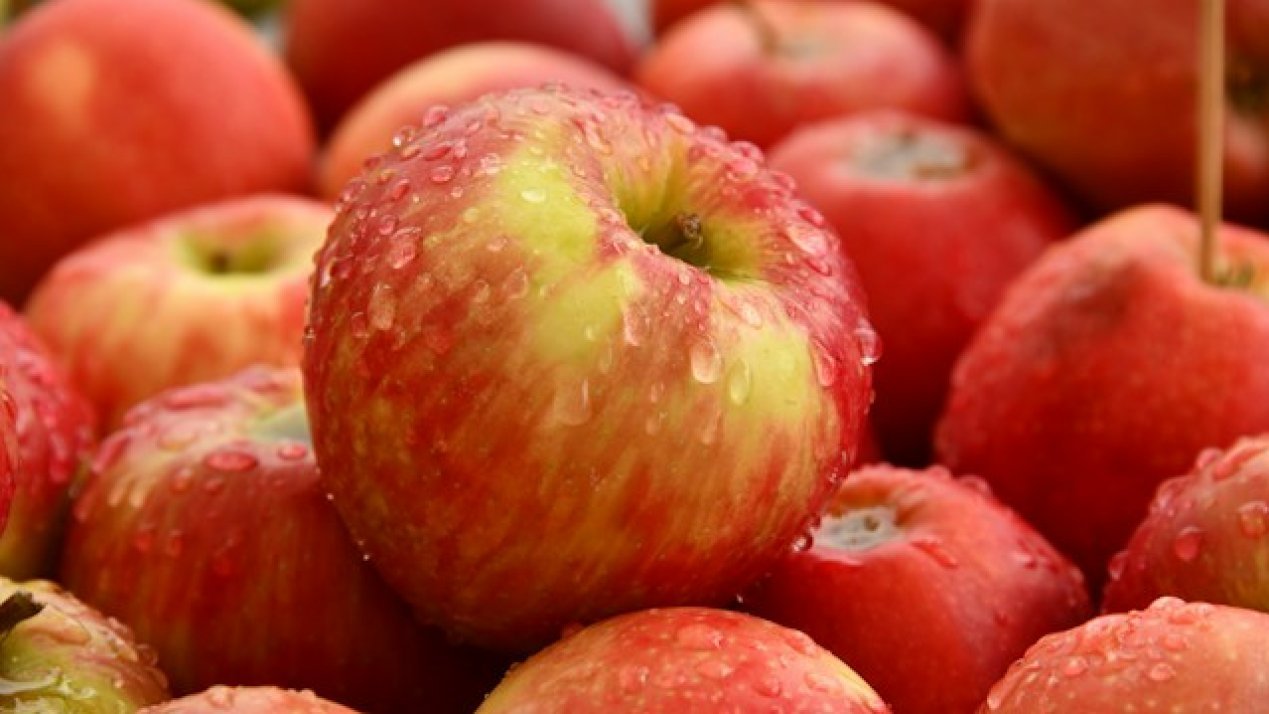 Orchard Defiance: Mexican Apple Growers Weather Import Storm to Reach New Heights