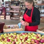 Orchard’s Resilience: Apple Hut Defies Record-Breaking April Freeze