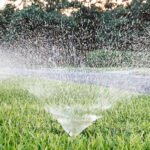 Parched Corridor: Comal County Residents Urged to Curb Water Use Along U.S. 281