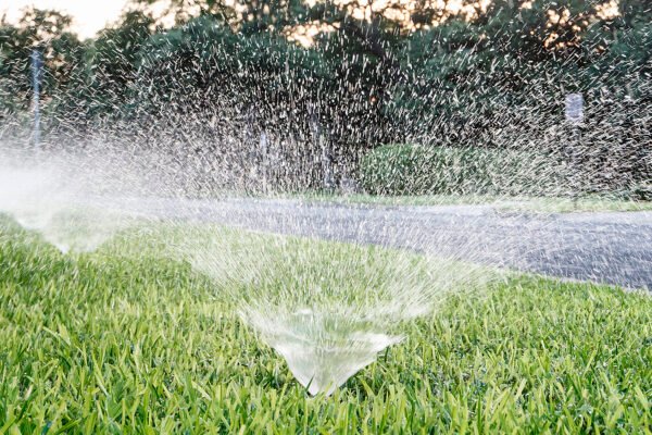 Parched Corridor: Comal County Residents Urged to Curb Water Use Along U.S. 281