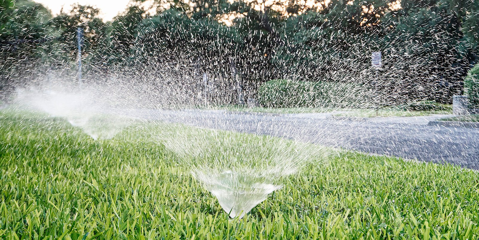 Parched Corridor: Comal County Residents Urged to Curb Water Use Along U.S. 281