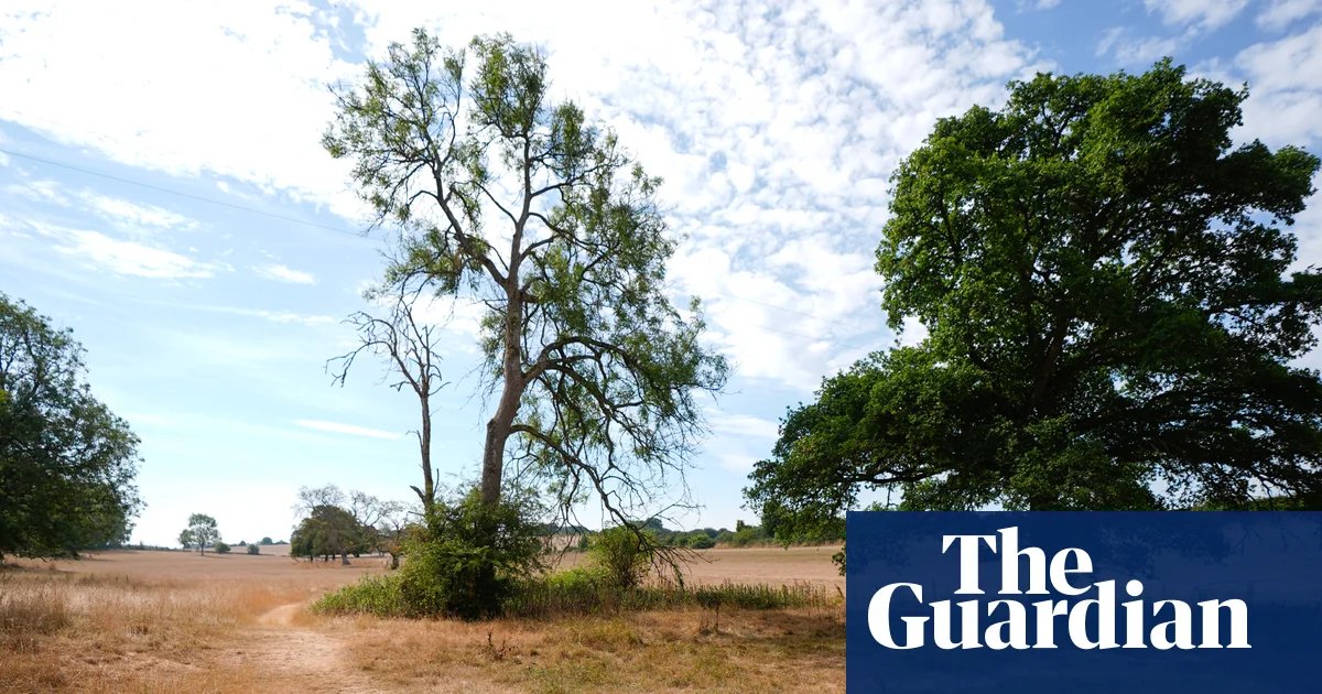 Parched Horizons: UK Wildlife Faces Long-Term Drought Crisis