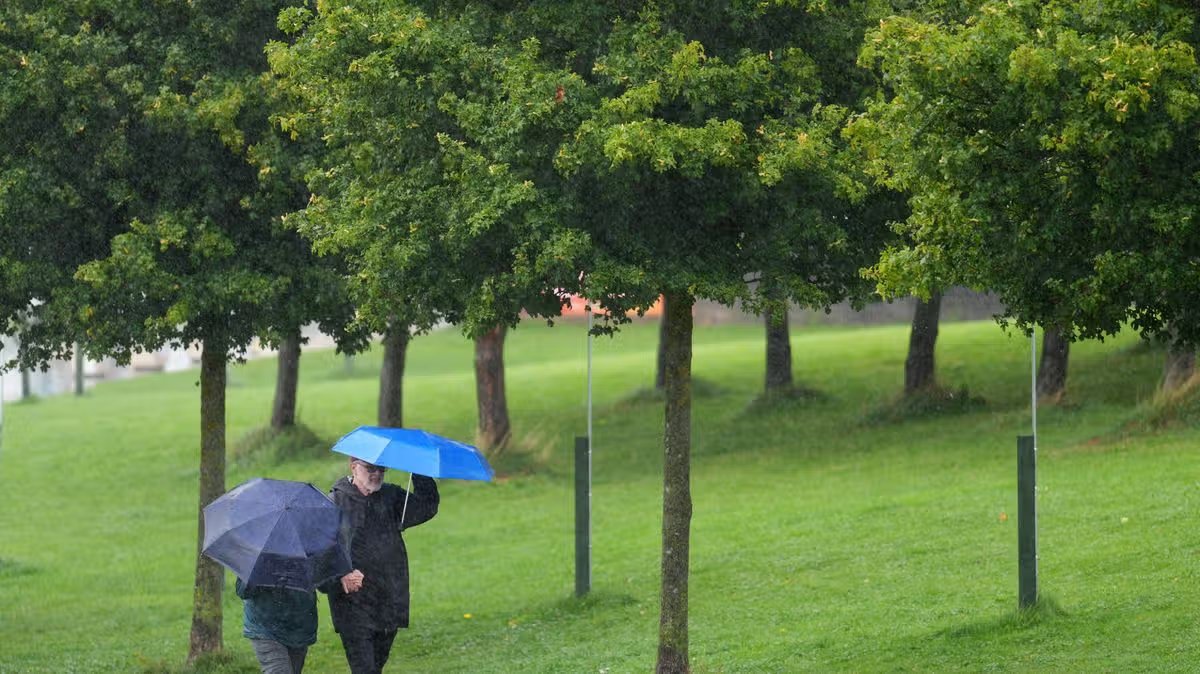 Parched Surrey Braces for Months of Thirst as Drought Warning Stretches into February