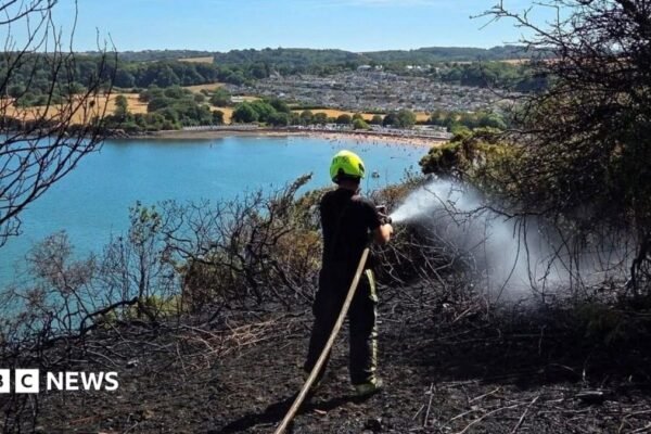 Parched and Pressured: Devon Fire Service Faces Historic Crisis Amid Scorching Drought