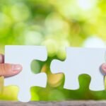 Green Hydrogen and Solar Lead Japan-India Carbon Credits