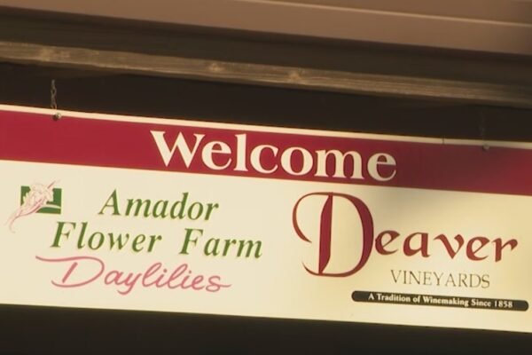 Petals Fall on a Legacy: Amador Flower Farm to Close After 30 Blooming Years