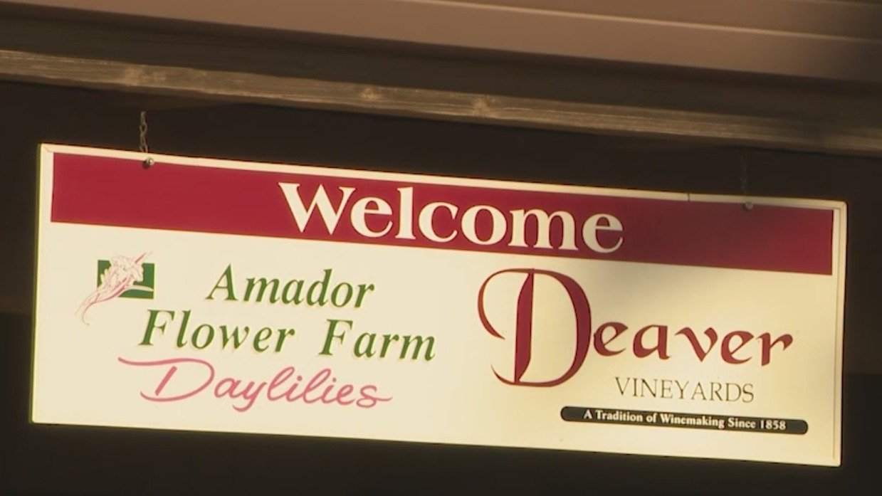 Petals Fall on a Legacy: Amador Flower Farm to Close After 30 Blooming Years