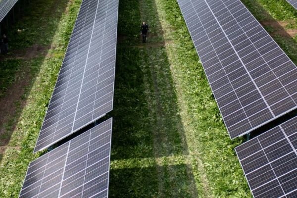 Piramal Pharma Bets on British Sun: Solar Power Plant Planned for UK Site