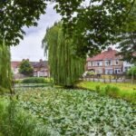 Reviving the Depths: North Lynn Ponds Set for Aquatic Overhaul