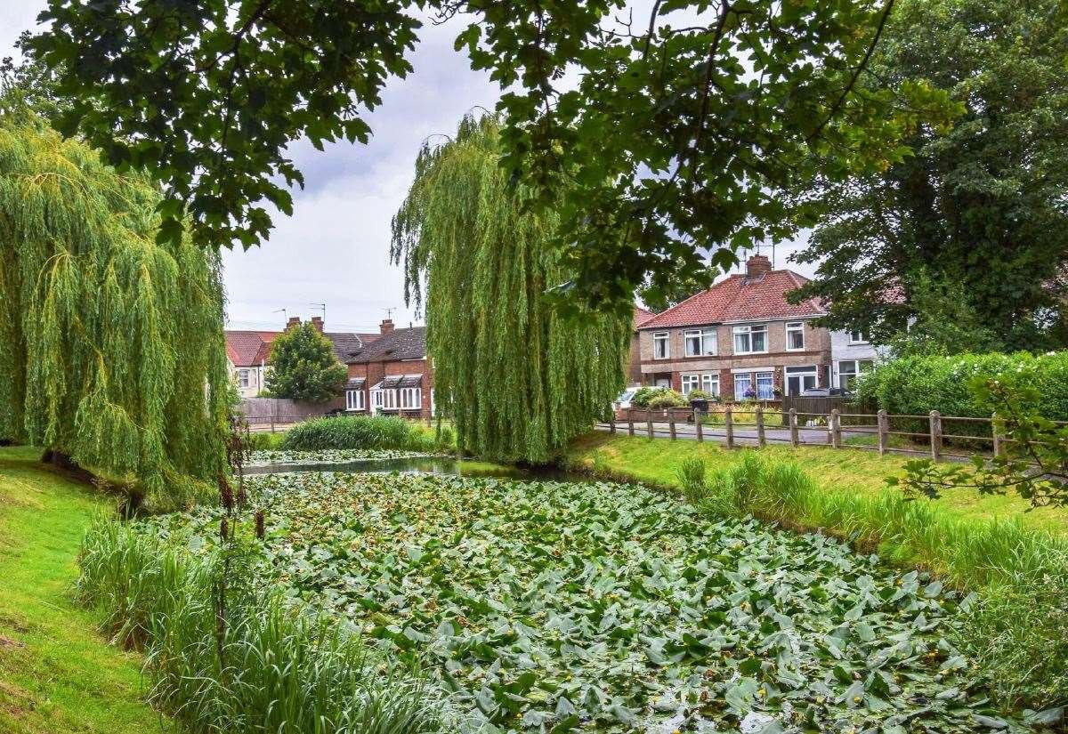 Reviving the Depths: North Lynn Ponds Set for Aquatic Overhaul