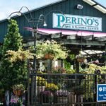 Rooted in Legacy: How Perino’s Turned Family Tradition into a Growing Garden Empire
