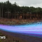 Rural Connectivity Revolution: 11,500 Homes and Businesses Plug Into the Future