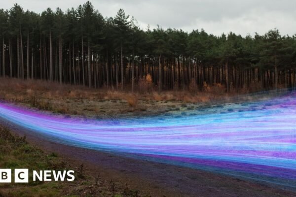 Rural Connectivity Revolution: 11,500 Homes and Businesses Plug Into the Future