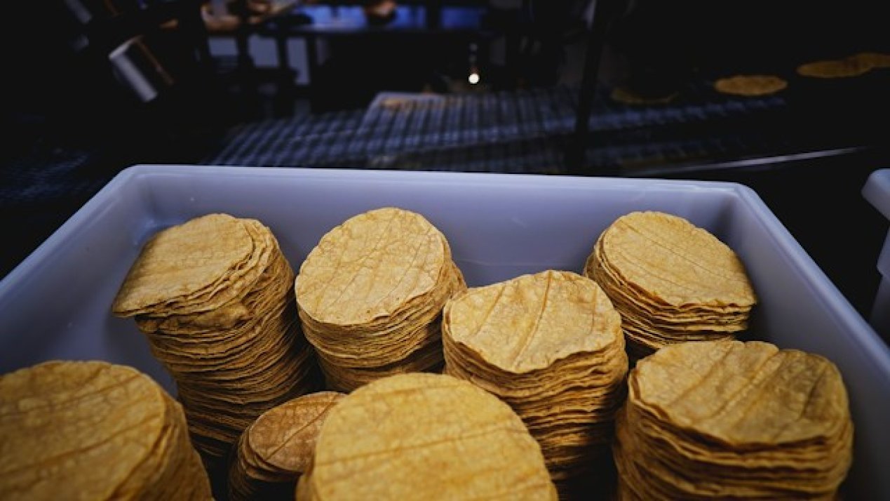 SADER: Mexico’s Bumper Corn Crop Anchors Tortilla Prices Against Inflation