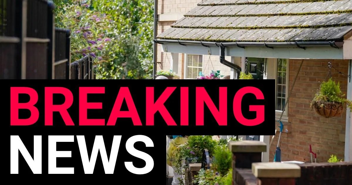 Baby girl was stabbed to death in Sheffield home, police reveal | News UK