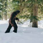 Sasquatch or Settlement: Hard Mountain Dew Stakes $1 Million on Bigfoot’s Unmasking