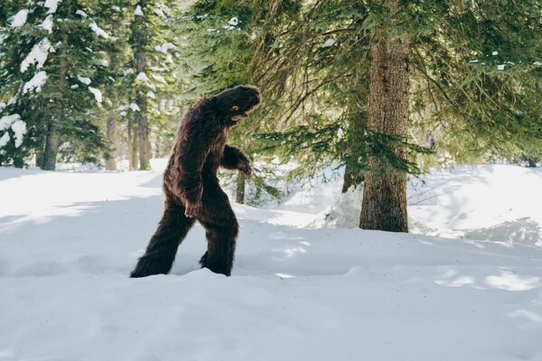 Sasquatch or Settlement: Hard Mountain Dew Stakes $1 Million on Bigfoot’s Unmasking