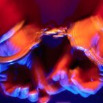 Serene Spa or Secret Sin: Cupertino Couple Charged in Alleged Brothel Sting