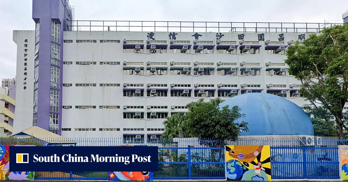 Sha Tin School Lunch Crisis: Dozens Hospitalized After Mysterious Mass Poisoning