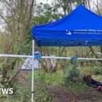 Shadows in the Staffordshire Woods: Four Arrested After Infant’s Remains Discovered