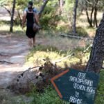 Shadows in the Wild: Shadowy Toxin Scandal Sparks Calls for Federal Wildlife Probe