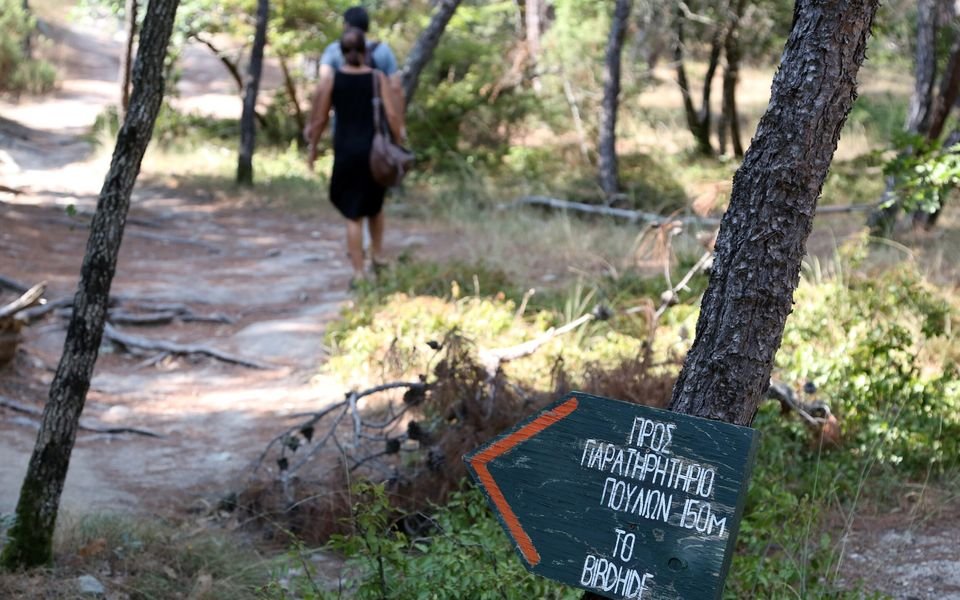 Shadows in the Wild: Shadowy Toxin Scandal Sparks Calls for Federal Wildlife Probe