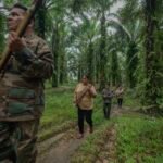 Silence in the Canopy: The Deadly Price of Guarding the Earth
