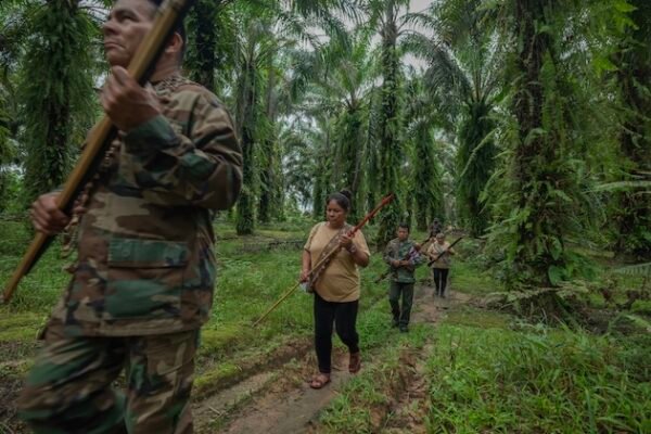Silence in the Canopy: The Deadly Price of Guarding the Earth