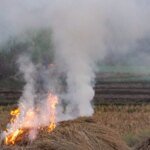 Smoke and Mirrors: Why Punjab’s Stubborn Stubble Crisis Persists Ahead of 2027