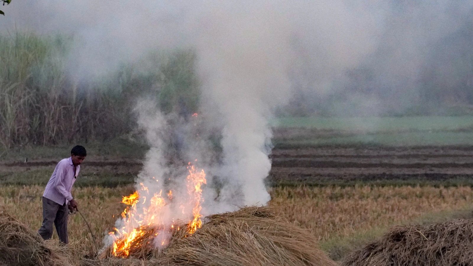 Smoke and Mirrors: Why Punjab’s Stubborn Stubble Crisis Persists Ahead of 2027
