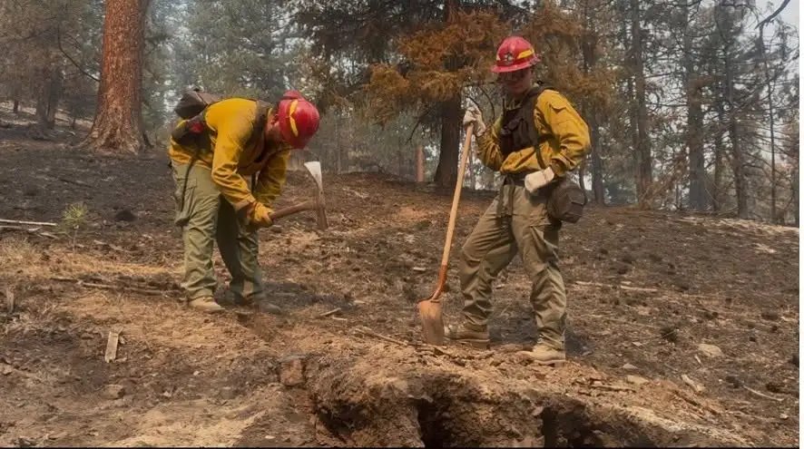 Smoke and Safety: Oregon Workplaces Reach Breaking Point Amid Wildfire Surge