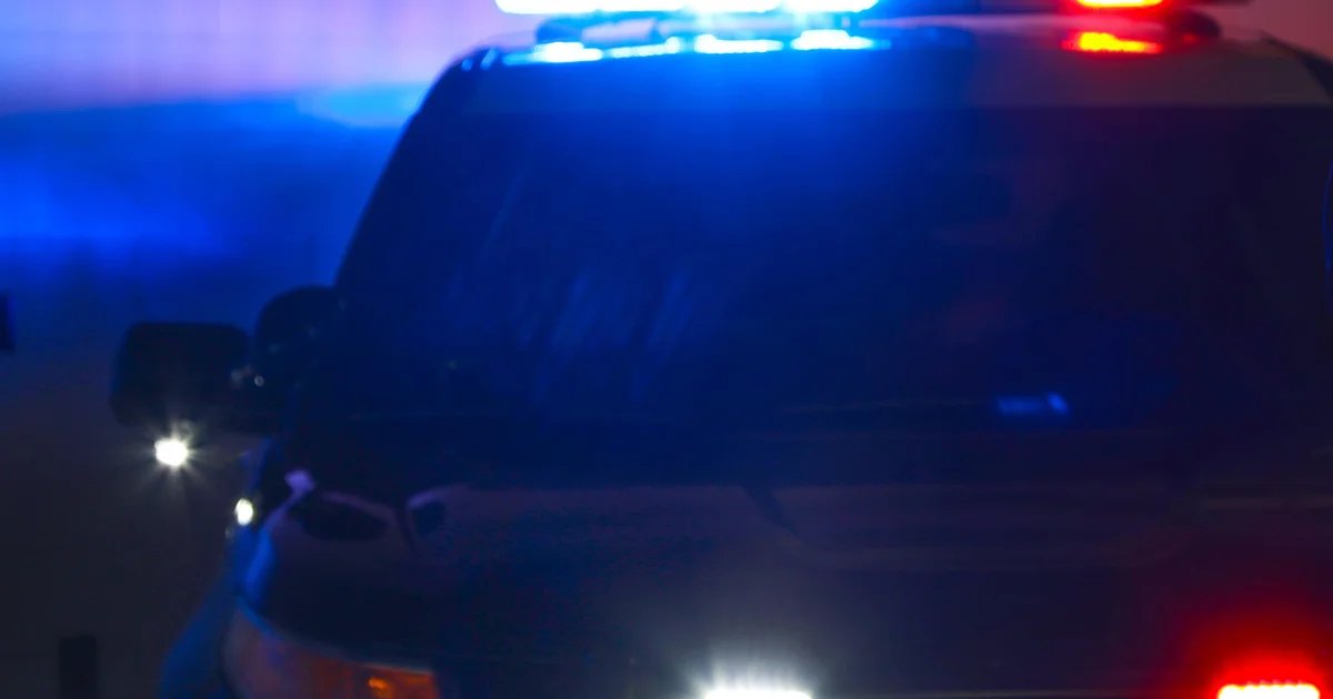 South Side Spree: Smash-and-Grabs Target Cash Assets in String of Business Burglaries