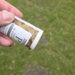 Spicing Up the Soil: Why Gardeners Are Swapping Pesticides for Black Pepper