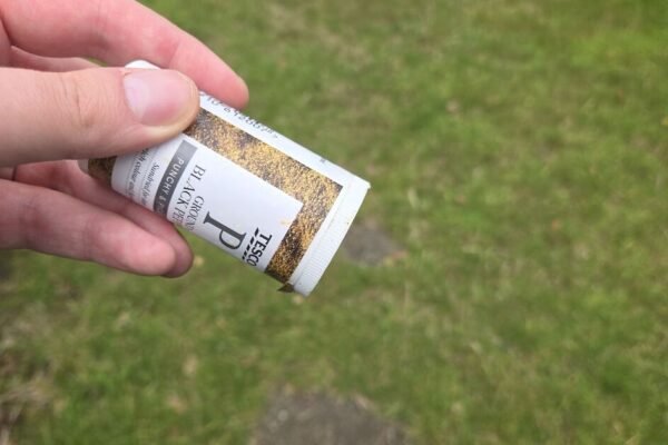 Spicing Up the Soil: Why Gardeners Are Swapping Pesticides for Black Pepper